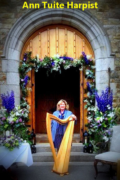 Leinster Wedding Suppliers Ann Tuite Harpist